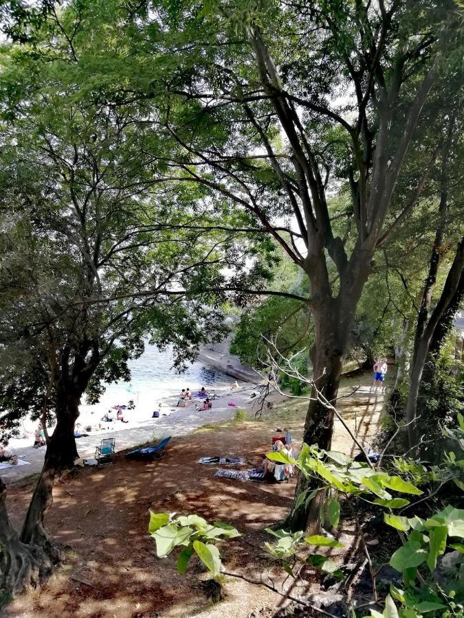 Cozy Apartment Bosnjak Near Opatija, With Sea View Terrace, Air Condition, Free Private Parking Ičići 外观 照片